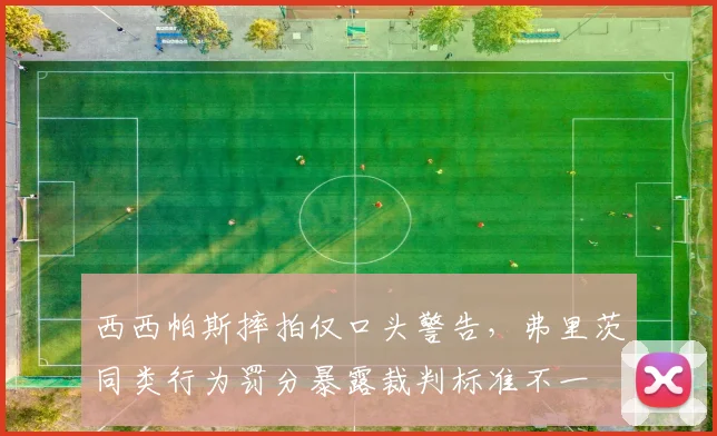 西西帕斯摔拍仅口头警告,弗里茨同类行为罚分暴露裁判标准不一